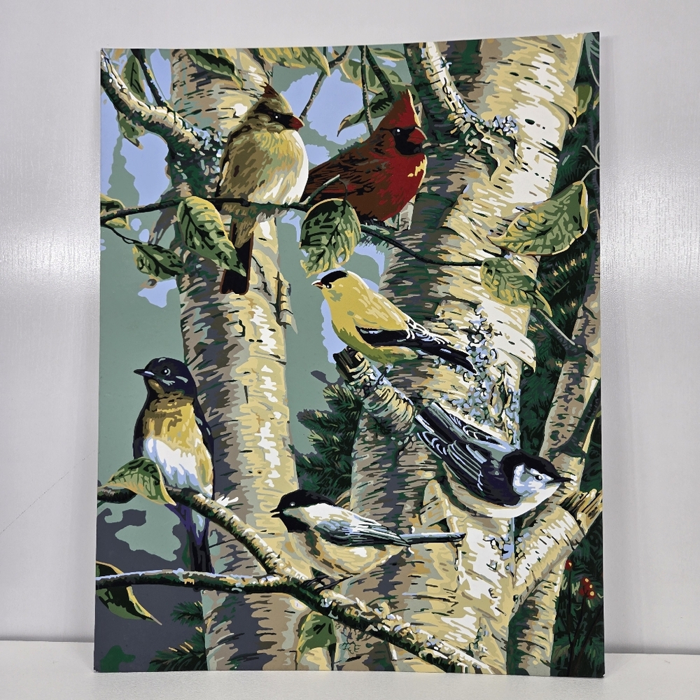 Songbird Favorites Finished Acrylic Painting Paint By Number Red Cardinal 16x20‎